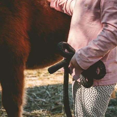 Familienhotel Replerhof Mit Kinderbetreuung Pragraten Bagian luar foto